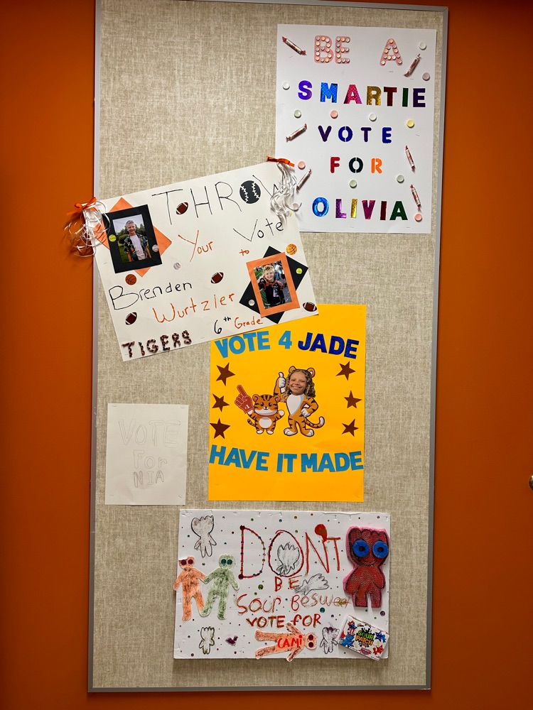 Student Council Posters 